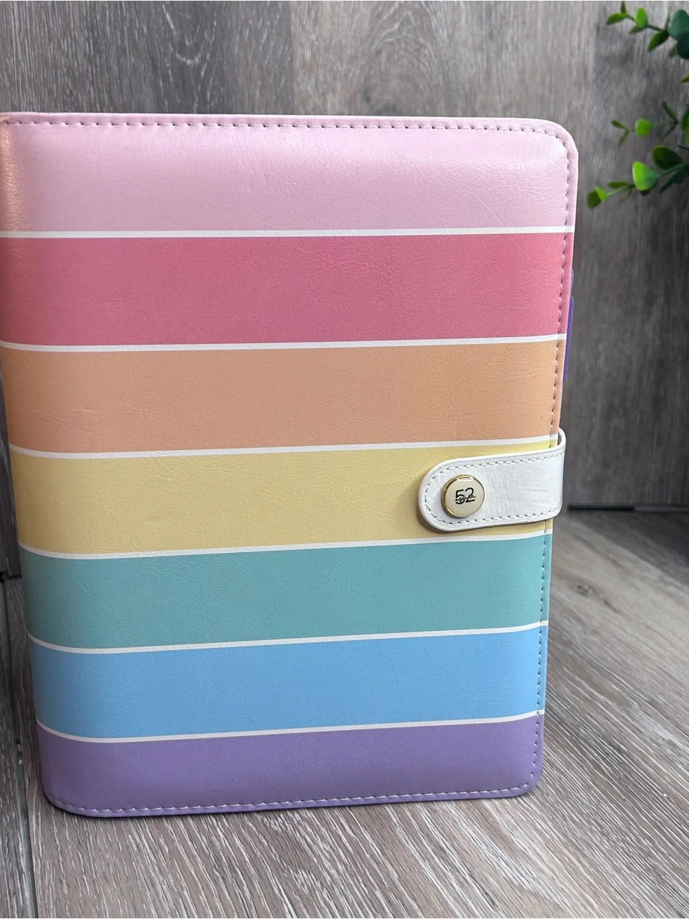 The Paper Studio 52 Agenda Rainbow-Striped Compact Planner Binder Organizer 6x8
